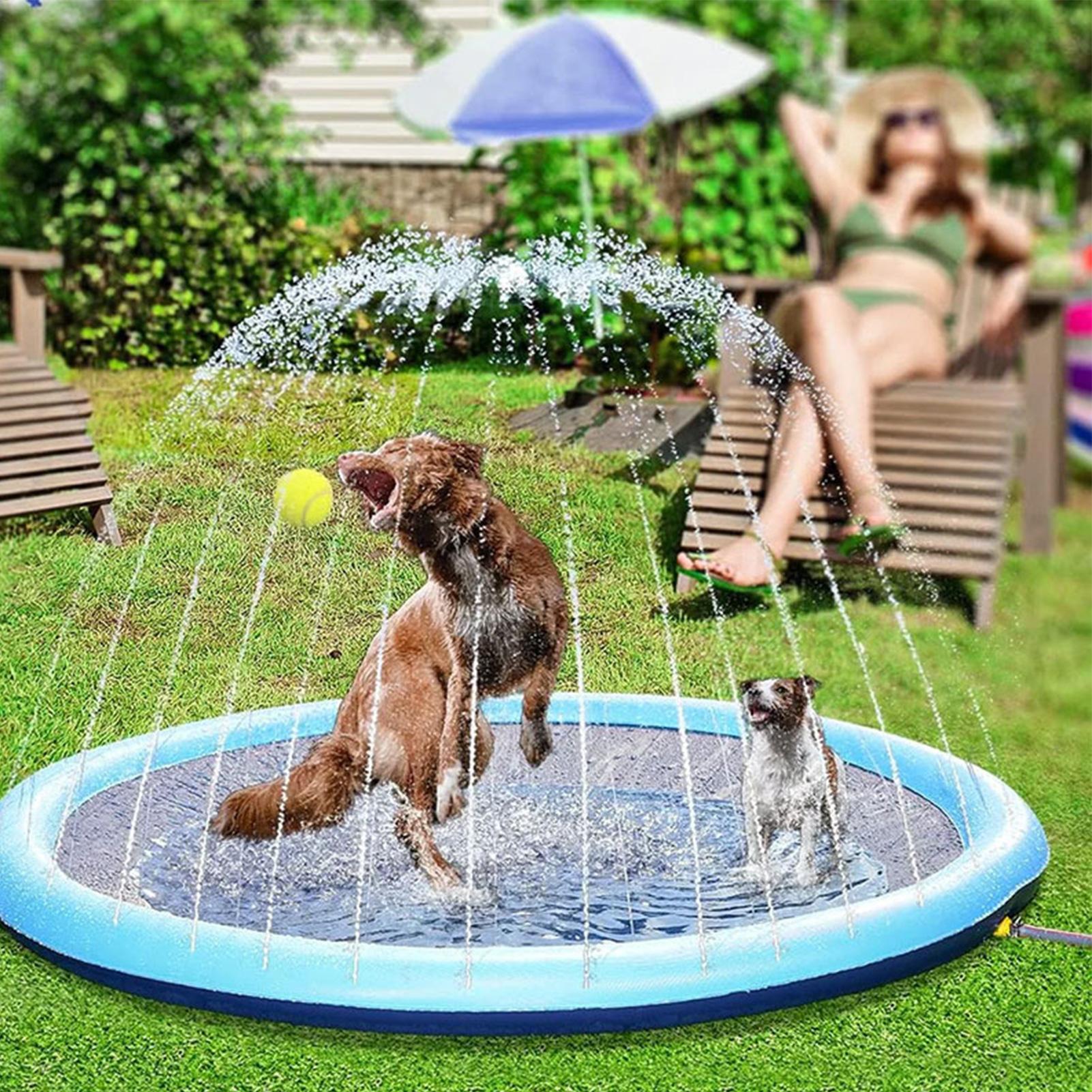 Tapis de jeu pour chien, épais - Slip Slide Water Mat avis et prix