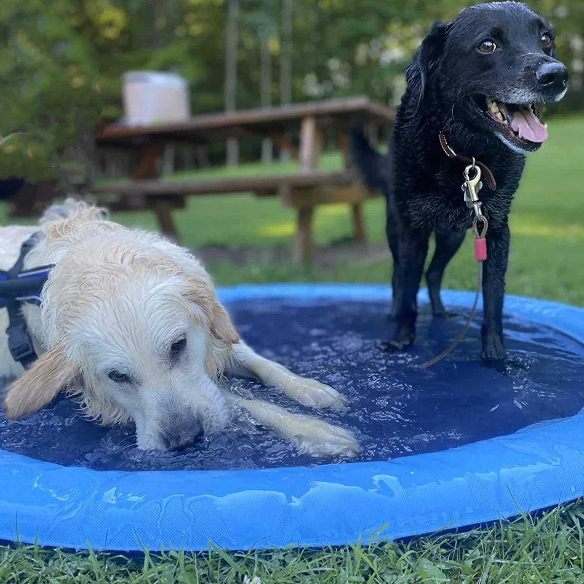 Piscine gonflable d'été pour a - Slip Slide Water Mat avis et prix